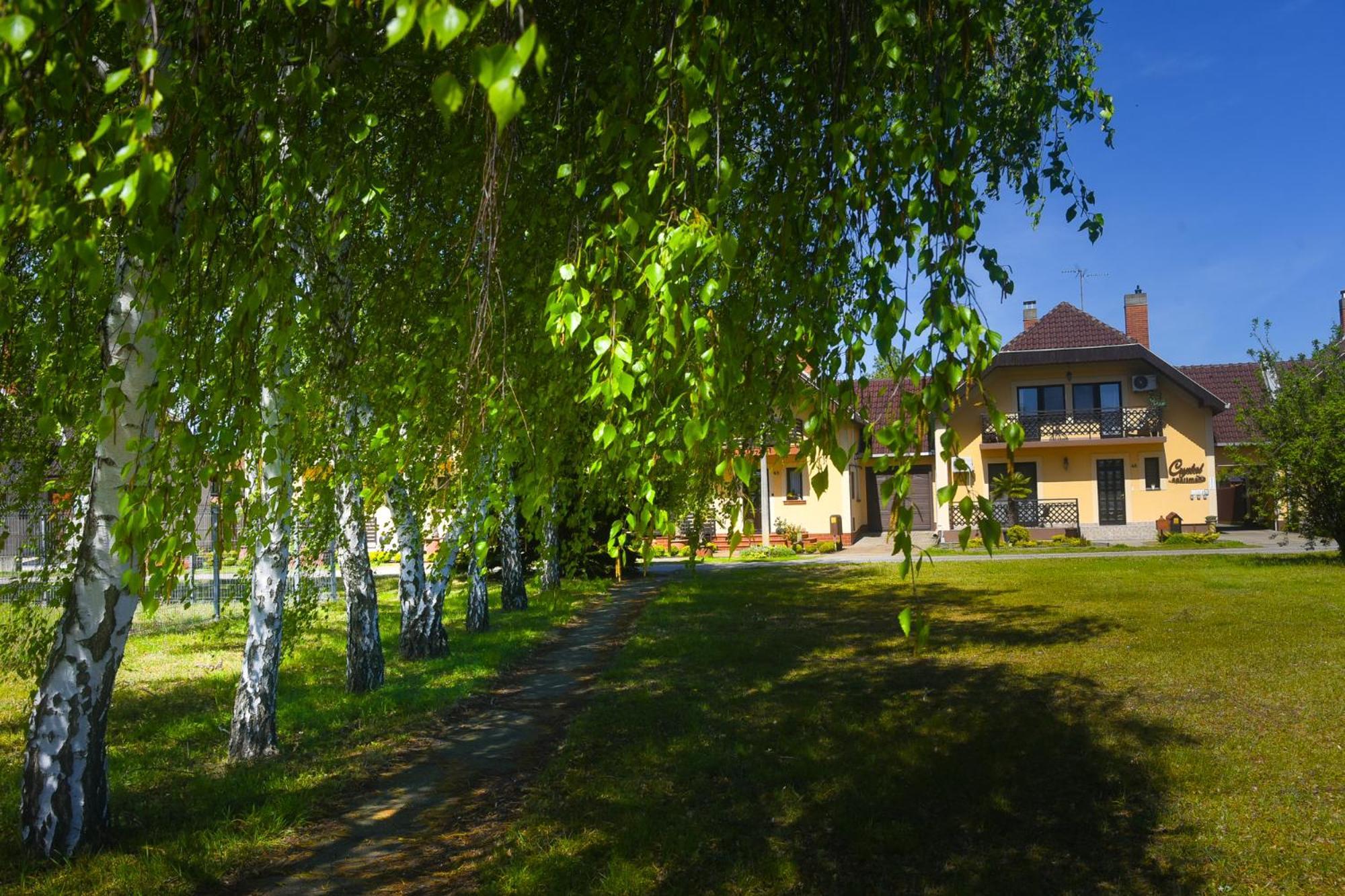 Crystal Apartman Morahalom Bagian luar foto